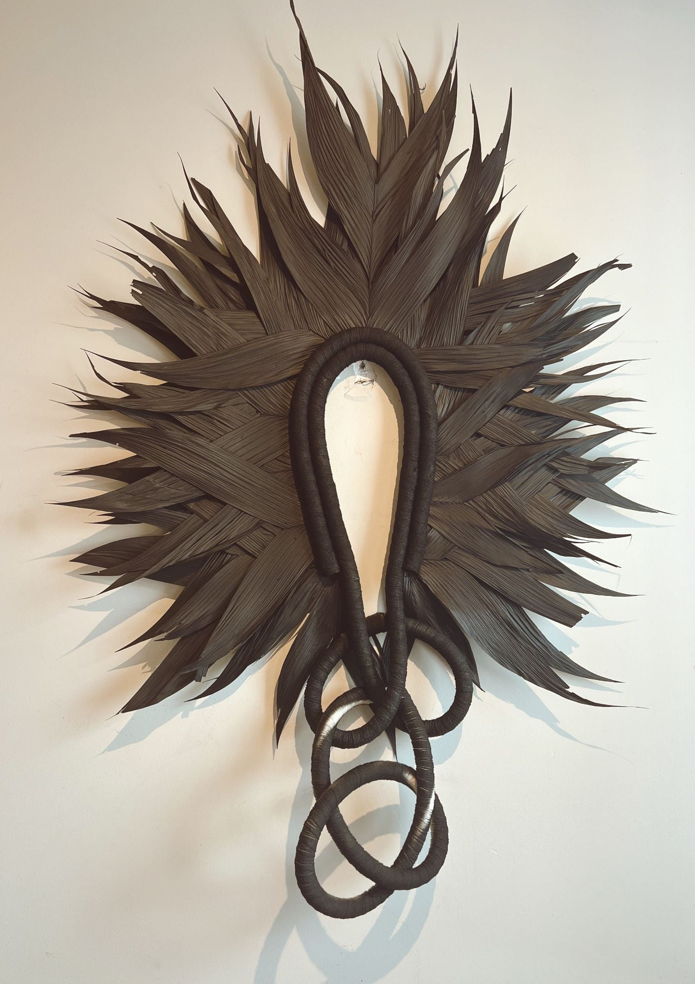 COCARES EM FOLHAGEM ARICANA