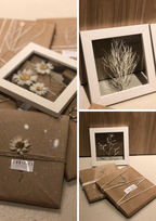 FOLHAS MARCANTES