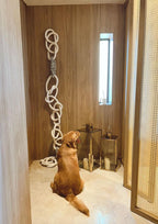 ELO DE ALGODÃO E CONCHAS