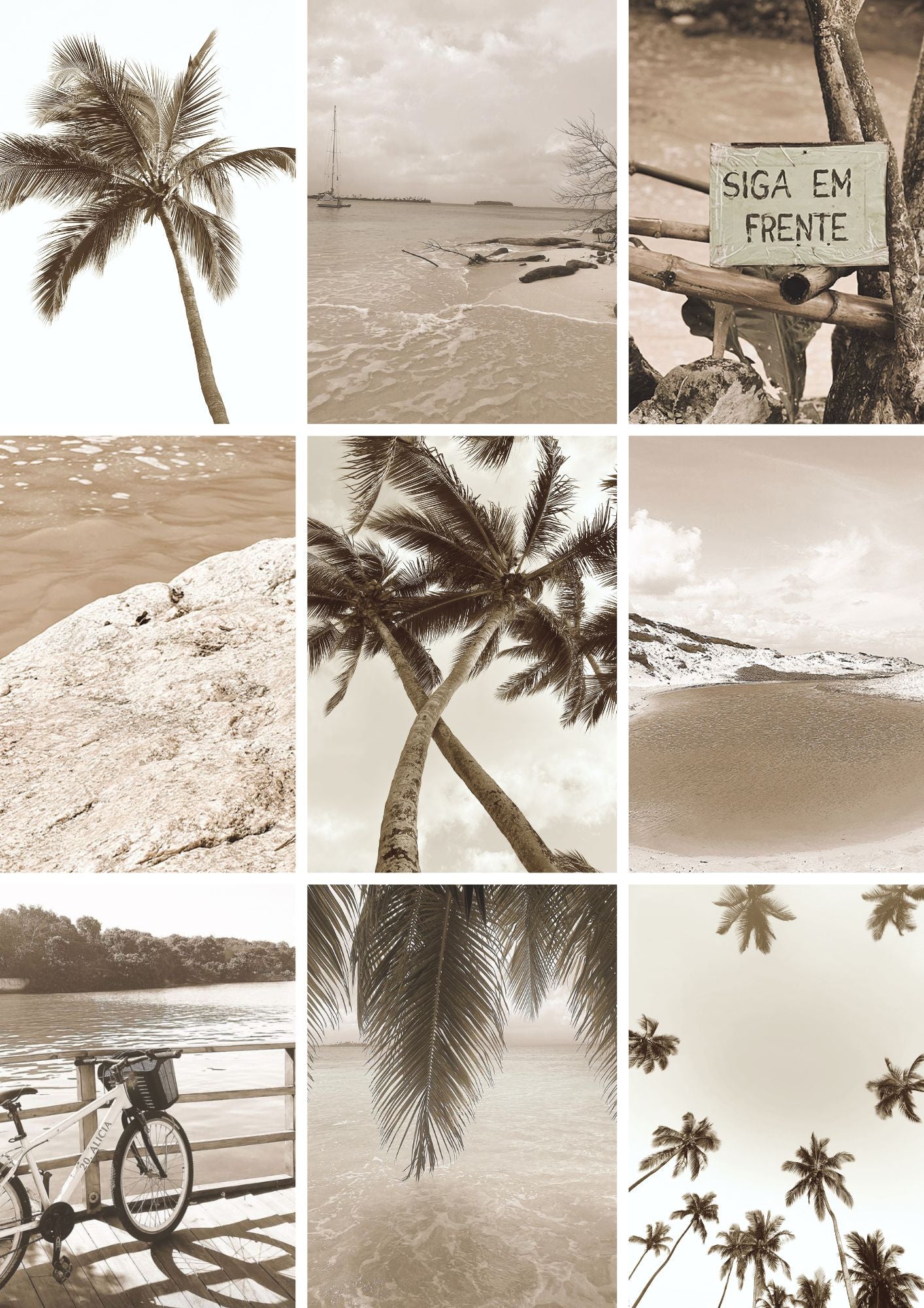 INSTANTES DA NATUREZA